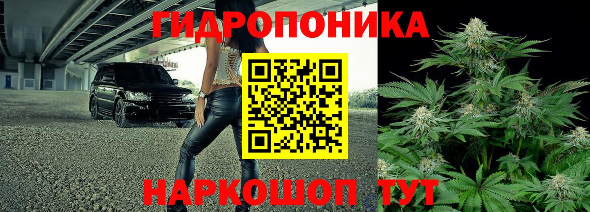Бошки Шишки гибрид  Марихуана VHQ  Вход с VPN  Железноводск  Бошки Шишки тримм 